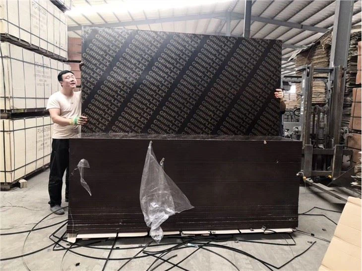 18mm Building Plywood Marterials With Best Prices