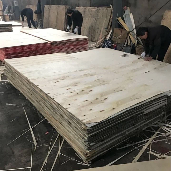 18mm Film Faced Plywood Supplier