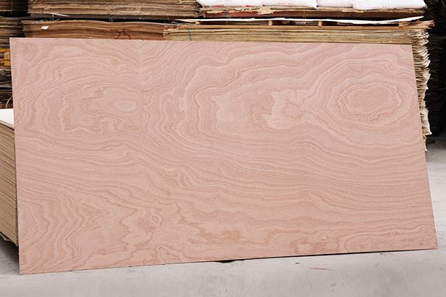 18MM Pencil Ceder Commercial Plywood