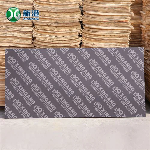 Film Kayu Lapis Berwajah 12mm