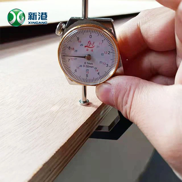 Birch Plywood Furniture Commercial Plywood Packing Plywood 13/15/18/20/21/22mm