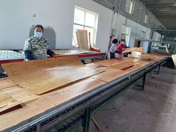 Lvl Plywood Linyi Factory Price Hign Quality Pine Poplar