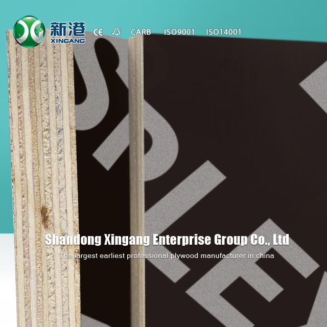 Marine Plywood Flm Faced Plywood 12mm 15mm 18mm Supplier Xingang