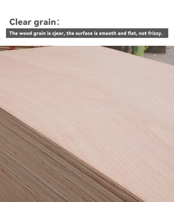 Okoume Commercial Plywood / XINGANG GROUP