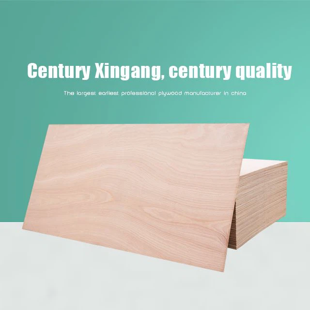 Okoume Plywood Bingtangor Plywood Poplar Semua Ukuran Dan Ketebalan Buatan China Merek Xingang