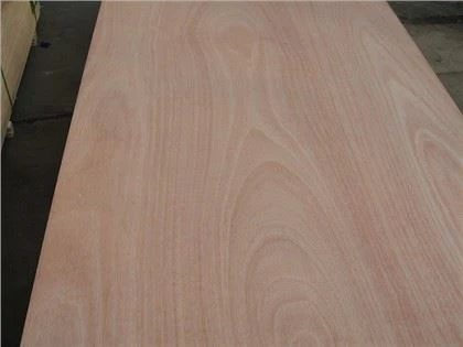 4'x8'x18mm Okoume BB/CC Kayu Lapis