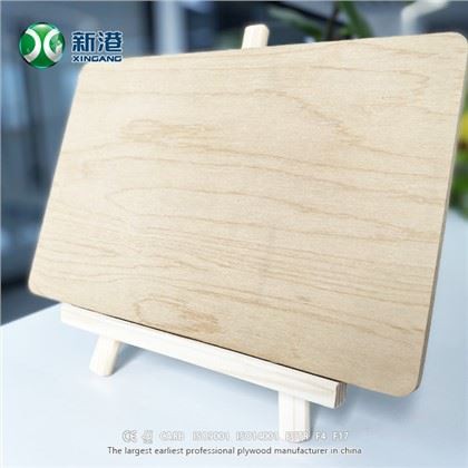 Merek XINGANG Kayu Lapis Birch Penuh Terbaik