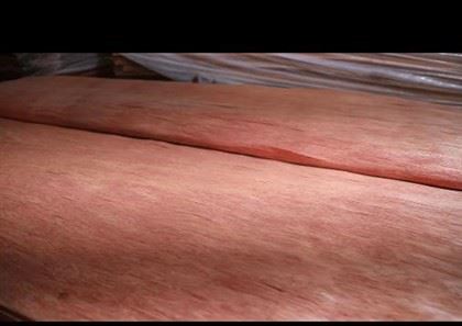 Bintangor Veneer Kayu Alami Untuk Kayu Lapis