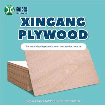 Cina / Dekorasi / Kayu Lapis Komersial