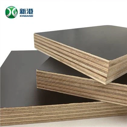 Inti Poplar Penuh Hadwood Core Birch Core Kayu Lapis