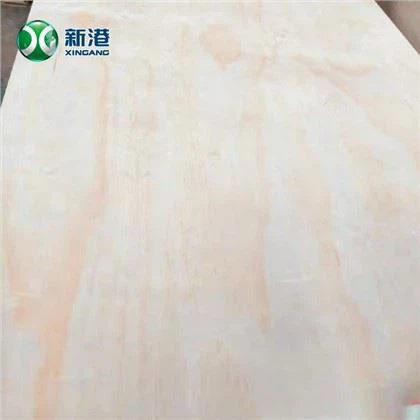 Kayu Lapis Pinus WBP