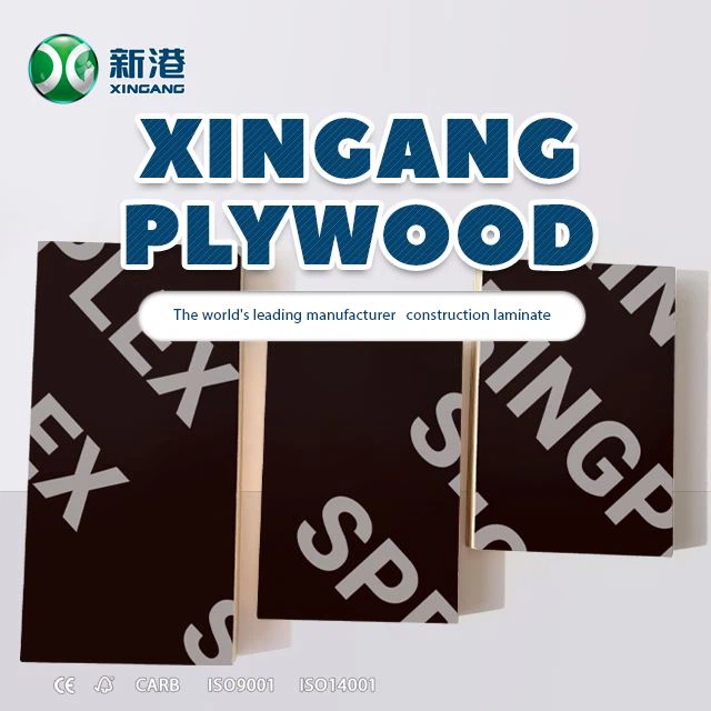 Film Xingang Menghadapi Kayu Lapis Birch Kayu Lapis Untuk Konstruksi