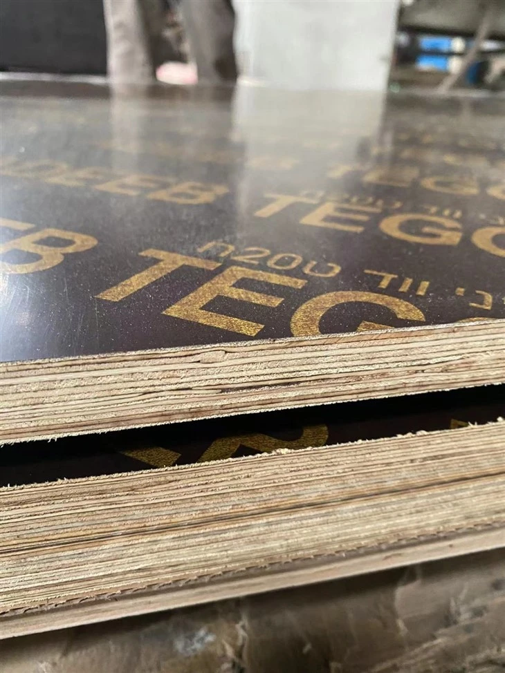 Marine Plywood Flm Faced Plywood 18MM
