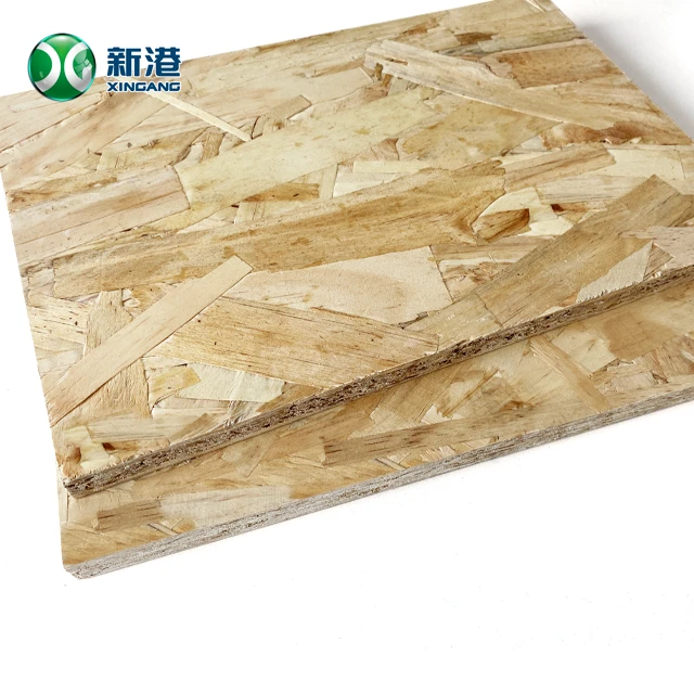 OSB241220