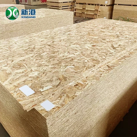 OSB241220