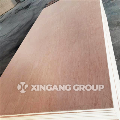Bing   Tanger   Kayu Lapis   20250209