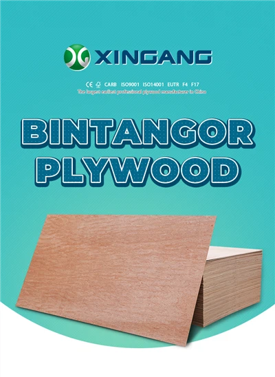 Kayu Lapis Komersial Tahan Lama EcoGuard Premium BuildMaster