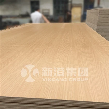 LAMINE PLYWOOD 20250219